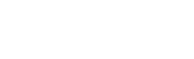 Wize Monkey Logo