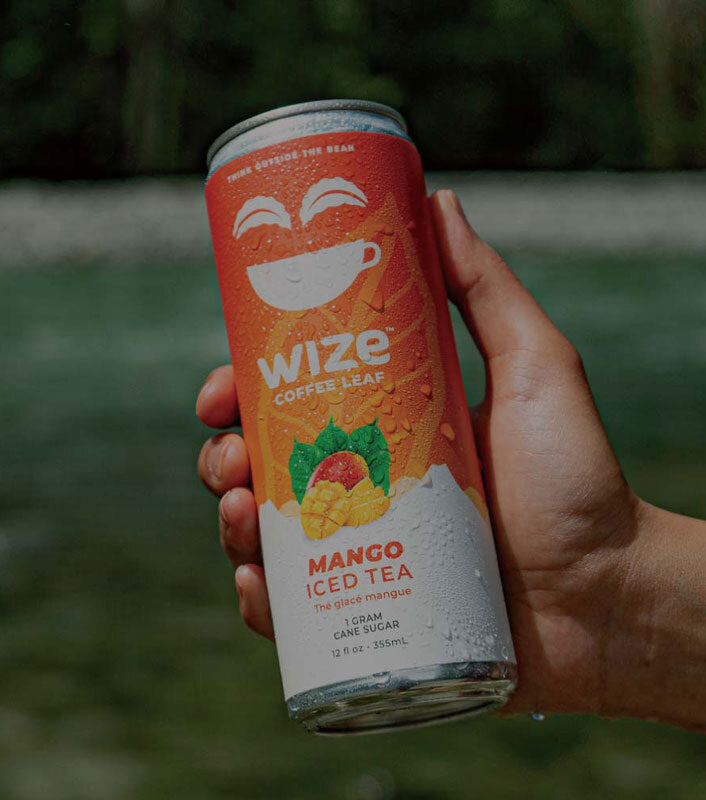 FUZE® Freshly Brewed Iced Tea